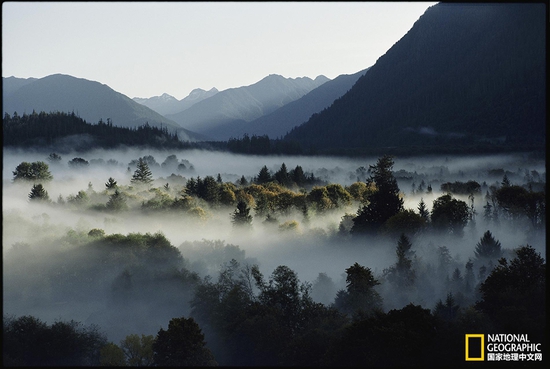 奧林匹克國家公園，華盛頓州攝影：Sam Abell，國家地理創(chuàng)意版