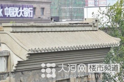 鄭州花園路“飛機(jī)樓”也要拆？去留引發(fā)關(guān)注