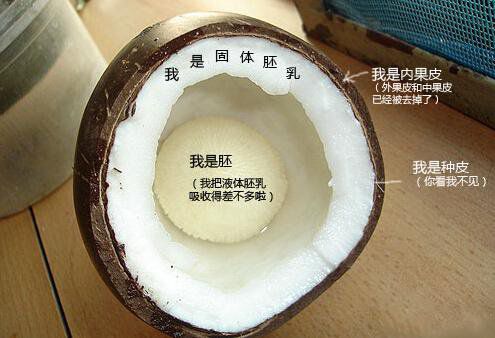 你在甜品店常吃的東西，到底都是啥？