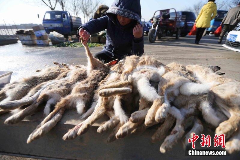 圖為12月14日，104國道靜?？h城附近，家養(yǎng)的大雁和野鴨被擺在一起售賣。田寶希 攝 圖片來源：CF