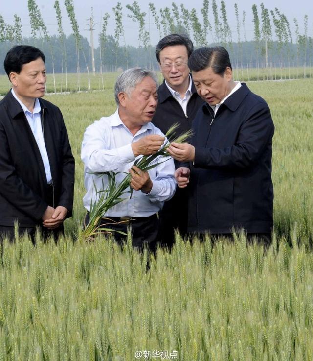 習近平走進糧田,看麥穗灌漿,問農(nóng)田建設。