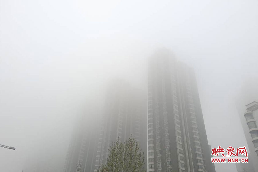 鄭州現(xiàn)大霧天氣，宛若仙境
