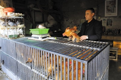 南京另一家農(nóng)貿(mào)市場(chǎng)內(nèi)待售的活雞。因南京出現(xiàn)H7N9禽流病例，買(mǎi)活雞的顧客減少。