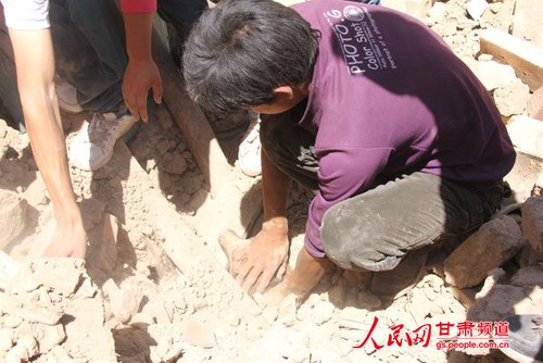 小黃狗露出了鼻子。王生元/攝