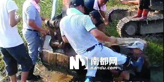 幾名戴黑帽的男子將一名老人推入水塘，后反復腳踹。