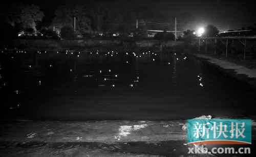 昨日，西湖村鱷魚養(yǎng)殖場已修復(fù)圍欄。