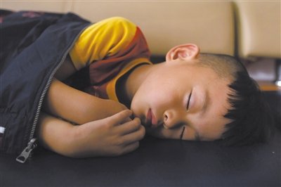 9月6日，等待錄制節(jié)目的多多躺在沙發(fā)上熟睡。新京報(bào)記者 侯少卿 攝
