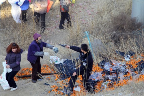 蘭州貨車側(cè)翻橘子遭百余村民哄搶，警察拔槍制止