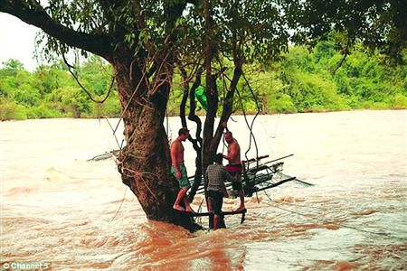 蓋屋、種菜，“從沒這樣快樂”