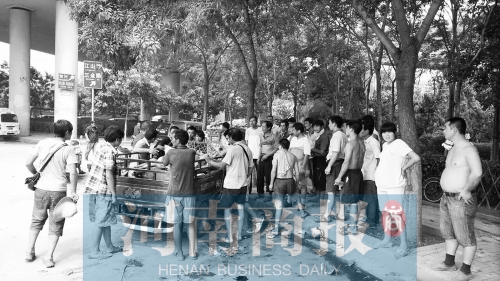 北環(huán)南陽(yáng)路立交橋下，瓜農(nóng)小秦被打后，附近瓜農(nóng)紛紛圍了上來(lái)