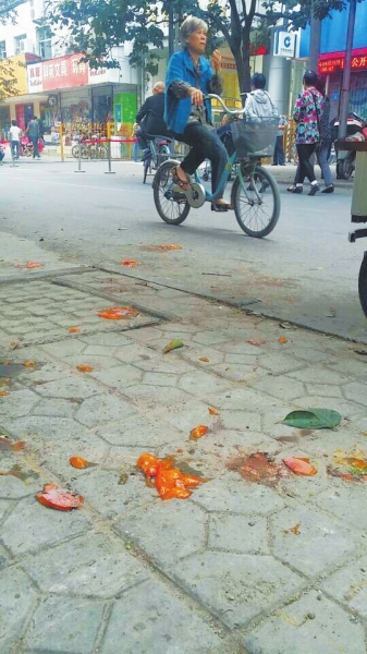 爛了一地的柿子影響市容，還常?；谷恕? width=