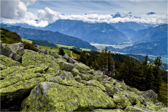 繼續(xù)一段弗里堡的午后時光 繼續(xù)一段弗里堡的午后時光
