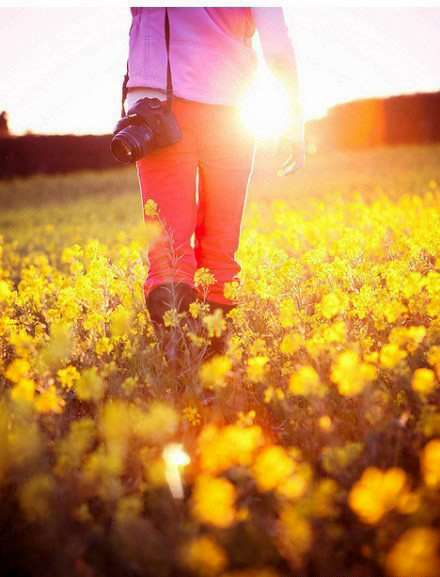 如何拍攝油菜花？達人教你7個拍攝技巧