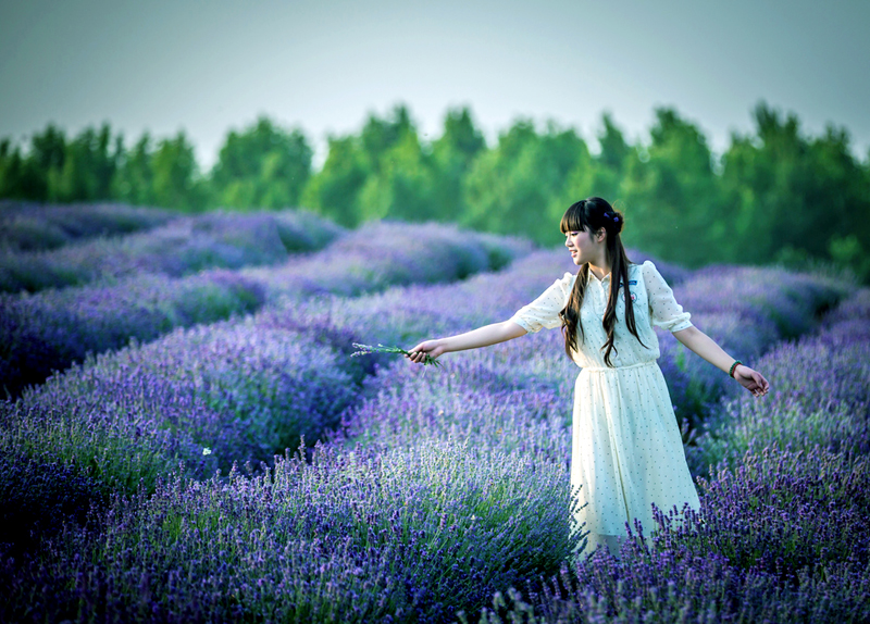 端午去哪兒?嵖岈山與您有個約會 端午去哪兒?嵖岈山與您有個約會