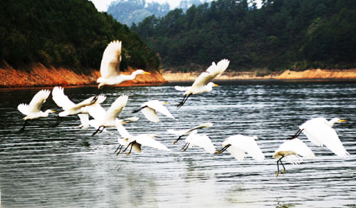考完去哪兒？千島湖中、高考生門(mén)票大優(yōu)惠！
