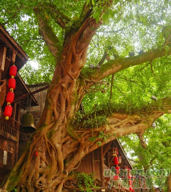 直上峨眉賞云海 煙雨柳江入夢(mèng)來