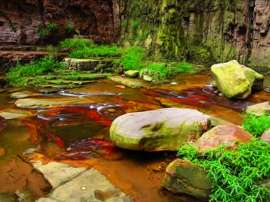 [旅游攻略]初秋山紅枝綴與龍?zhí)秿{來(lái)一場(chǎng)“優(yōu)惠”