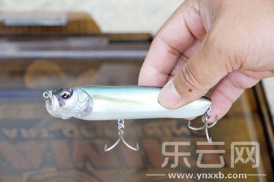 　　又稱擬餌釣魚,起源于歐洲,國內(nèi)翻譯為“路亞”。