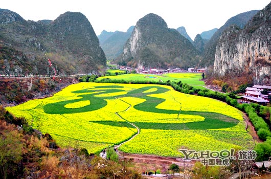 　　貴州油菜花景自以“立體多層,起伏跌宕”的油菜花景觀著稱。(圖片來源:CFP)