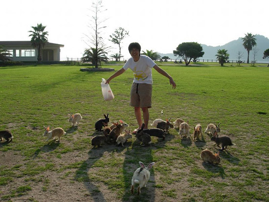 日本二戰(zhàn)軍工廠所在荒島:兔子遍地萌翻游客 日本二戰(zhàn)軍工廠所在荒島:兔子遍地萌翻游客