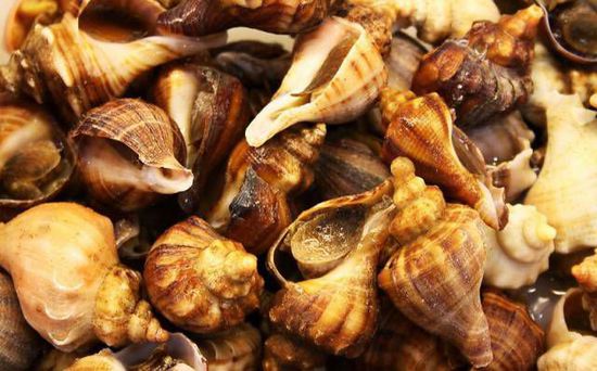 秋季最適合吃的海鮮是這10種 你吃對(duì)了嗎？