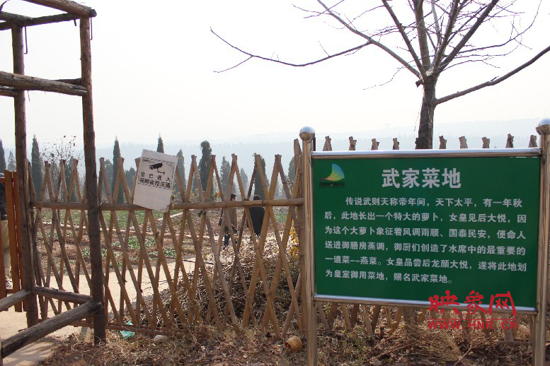 武家菜地就是這，據(jù)說里面有個特大的蘿卜
