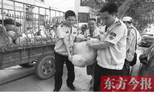昨日，鄭州金水區(qū)執(zhí)法局的執(zhí)法隊(duì)員捐錢(qián)買(mǎi)瓜，替瓜農(nóng)解憂(yōu)