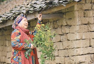 公式“時(shí)尚奶奶”的賞花照，收獲了好多人的點(diǎn)贊。 受訪者供圖
