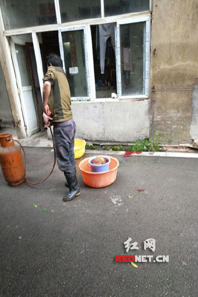 5月8日，男子在校園里殺狗，地上殘留一塊血跡。目擊者供圖。