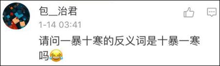 鶴立雞群？雞立鶴群！