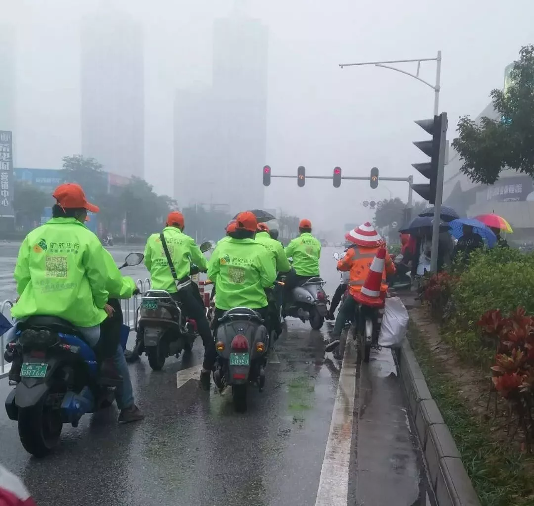 出門打驢？ 南寧“滴滴打驢”被緊急叫停