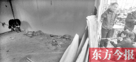 12月4日，鄭州市未來路與隴海路交叉口西側(cè)，執(zhí)法人員用吹管麻醉針對付一只藏獒