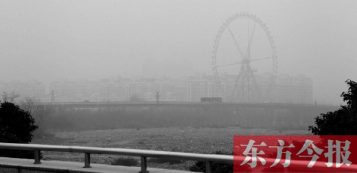 我看！我再看！我都看不見世紀歡樂園的巨大摩天輪了，送孩子上學的路，真快看不清了