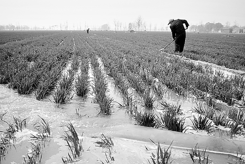3月25日，濮陽縣郎中鄉(xiāng)大趙寨村農(nóng)民在為小麥澆水。連日來，濮陽縣廣大農(nóng)民不誤農(nóng)時，及時為麥田施肥、澆