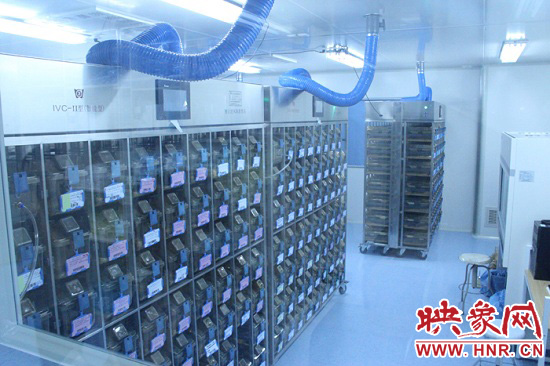 “鼠村”里每一個籠子是一家?！按濉崩镒≈?萬只左右的小鼠