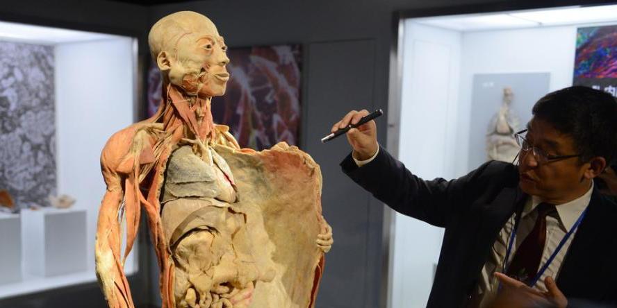 生命奧秘博物館入駐周莊 生命奧秘博物館入駐周莊