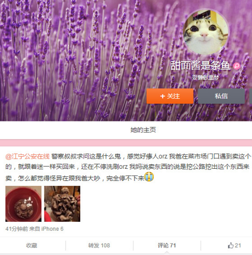 “你爸買(mǎi)的是街頭古董詐騙爆款” “你爸買(mǎi)的是街頭古董詐騙爆款”