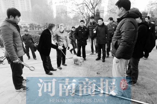 一只辦過狗證的小白狗，因?yàn)闆]有拴犬鏈，被執(zhí)法人員暫扣