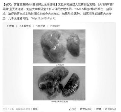 昨天，一則“霧霾使鮮肺6天變黑肺”的新聞在網(wǎng)上引發(fā)熱議。網(wǎng)絡(luò)截圖