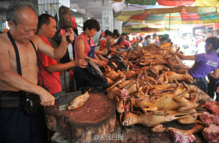 玉林狗肉節(jié)。