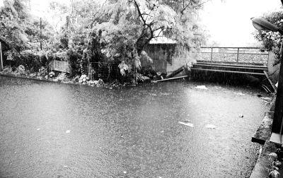 白云區(qū)棠樂路通往石槎路的一個鐵路橋底涵洞常被暴雨積水淹沒?！缎畔r報》供圖