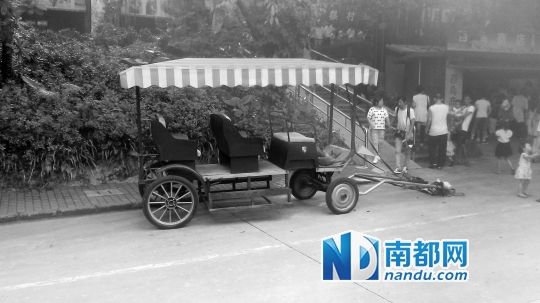 園方則稱解剖后發(fā)現(xiàn)馬死于心臟衰竭，“與累無(wú)關(guān)”。