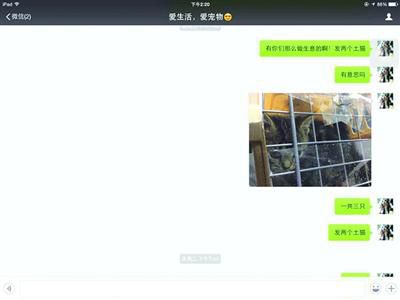 買家發(fā)現(xiàn)上當(dāng)受騙，賣家叫囂“報(bào)警也沒用”。