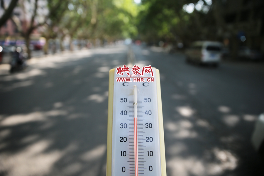 7月8日下午15時(shí)30分，人民路樹陰處溫度為36度，比人防納涼處高11度。