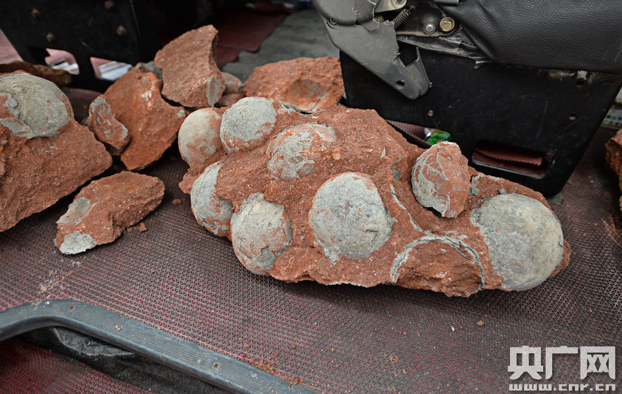 其中完整的19枚，都是直徑約13厘米的“大個(gè)子”。