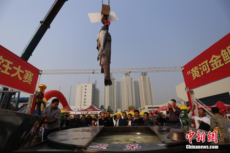 起重機吊起161.2斤魚王下鍋。 圖片來源：CFP視覺中國