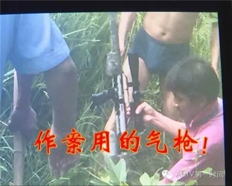 男子紅薯地用槍誤殺女童 說“原來不是兔子”后離開 男子紅薯地用槍誤殺女童 說“原來不是兔子”后離開