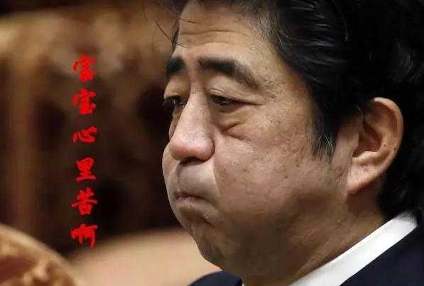 這種看安倍“熱鬧”的事兒，環(huán)環(huán)絕不私藏，一定雨露均沾!