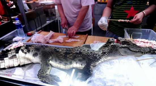 沈陽(yáng)現(xiàn)“烤鱷魚肉”20元一串現(xiàn)烤現(xiàn)賣(圖) 沈陽(yáng)現(xiàn)“烤鱷魚肉”20元一串現(xiàn)烤現(xiàn)賣(圖)