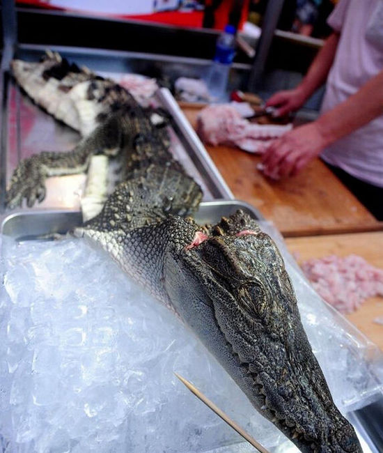 沈陽(yáng)現(xiàn)“烤鱷魚肉”20元一串現(xiàn)烤現(xiàn)賣(圖) 沈陽(yáng)現(xiàn)“烤鱷魚肉”20元一串現(xiàn)烤現(xiàn)賣(圖)